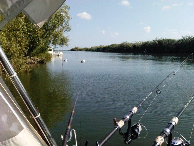 Rosu - Septembrie  2015 - img20150925143009.jpg